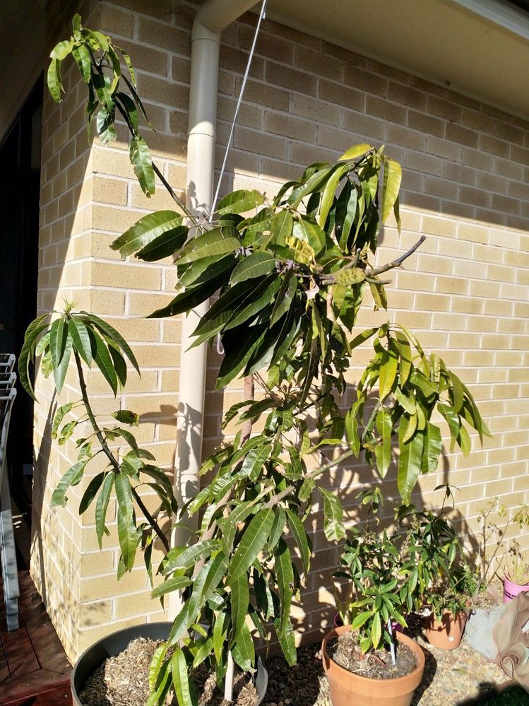 IMG_20210909_150258.jpg IMG_20210909_150258.jpg