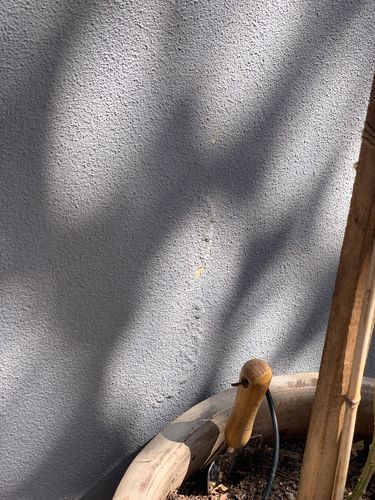 IMG_3313.jpeg IMG_3313.jpeg