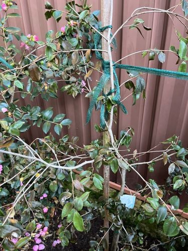 IMG_1656.jpeg IMG_1656.jpeg