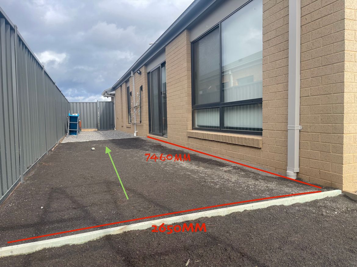 IMG_5353.JPG IMG_5353.JPG