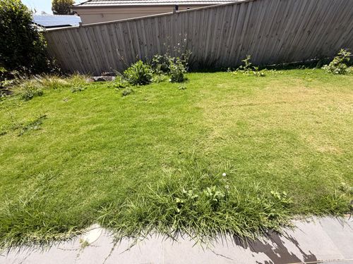 IMG_9391.jpeg IMG_9391.jpeg