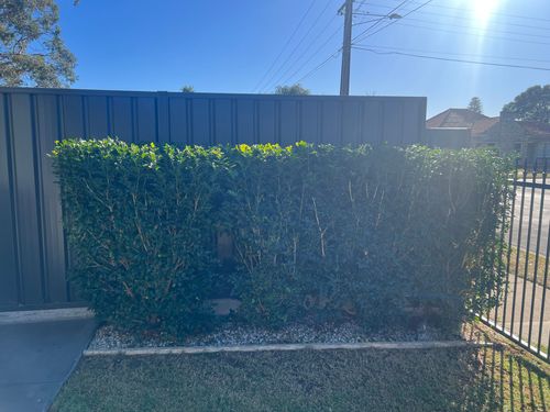 IMG_2179.jpeg IMG_2179.jpeg