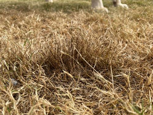 IMG_5862.jpeg IMG_5862.jpeg