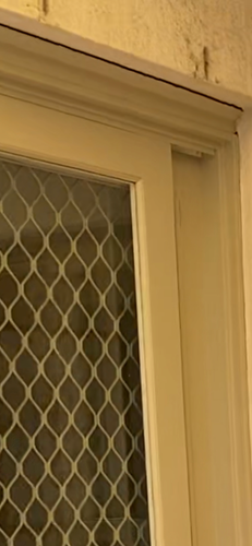 19A51D24-DCD1-4C8F-B16B-E916848A6072.png 19A51D24-DCD1-4C8F-B16B-E916848A6072.png