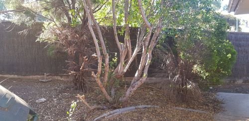 20200102_083724.jpg 20200102_083724.jpg