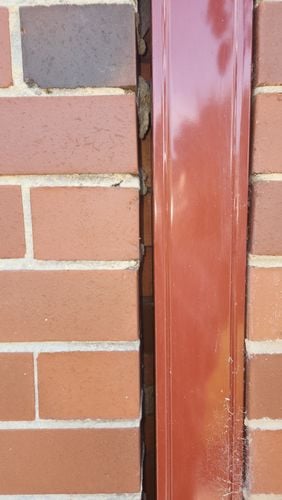 1000021346.jpg 1000021346.jpg