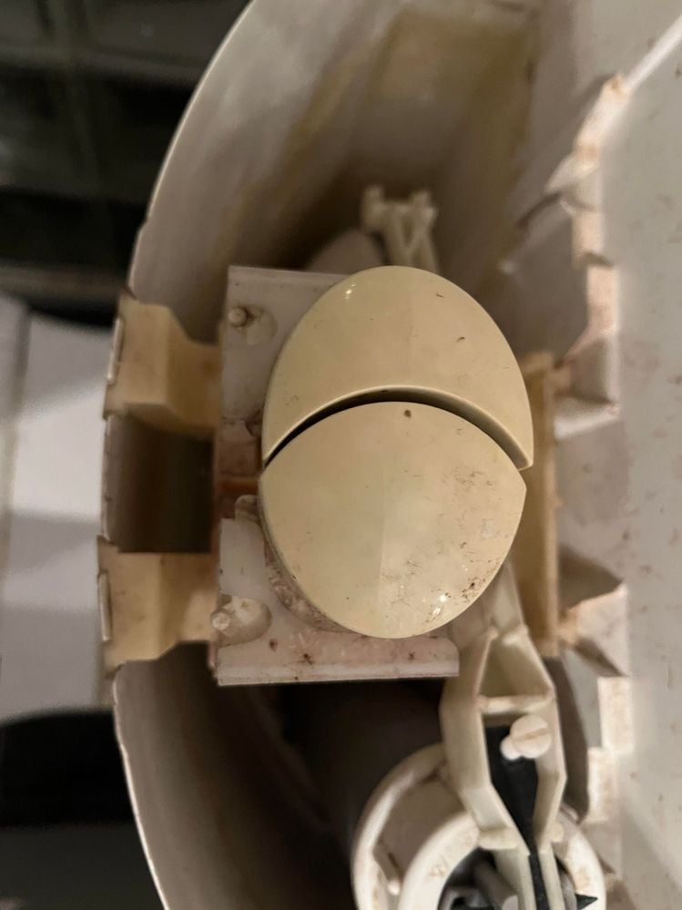 unnamed (8).jpg unnamed (8).jpg