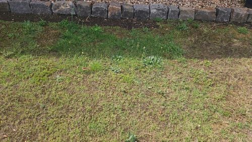 1000011486.jpg 1000011486.jpg