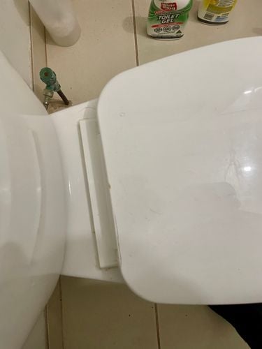 IMG_2711.jpeg IMG_2711.jpeg