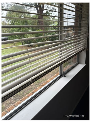 mccarthyelaine7_2-1741931243923.png mccarthyelaine7_2-1741931243923.png