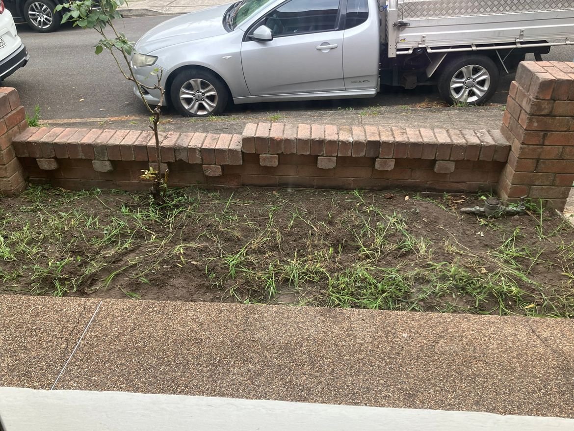 Garden.jpg Garden.jpg