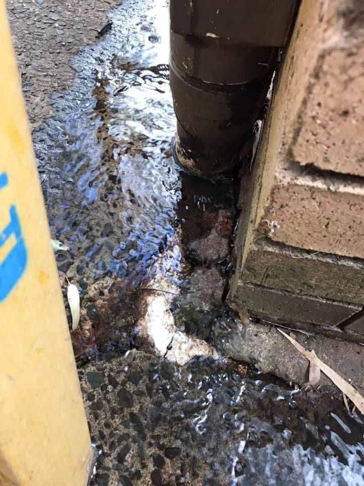 03 04-11-2020.jpg 03 04-11-2020.jpg