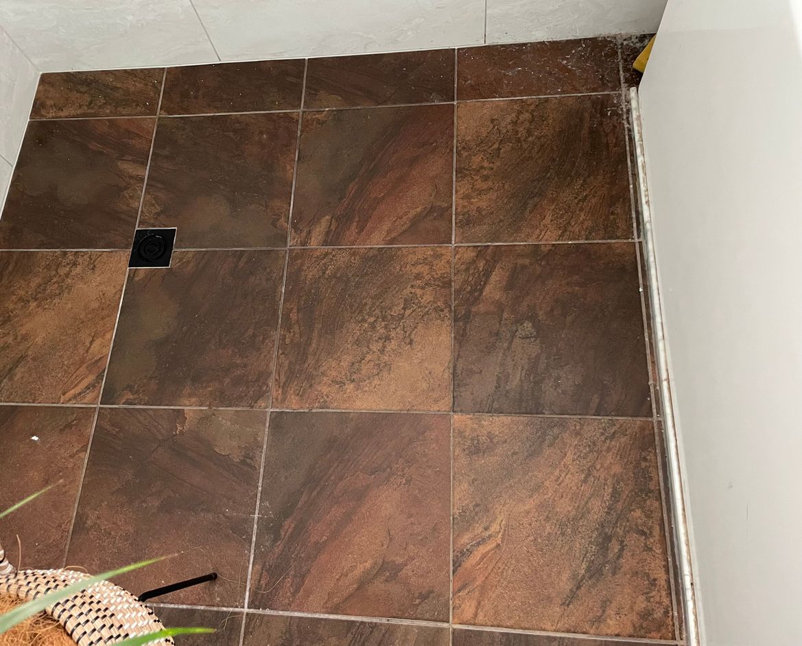 IMG_5945.JPG IMG_5945.JPG