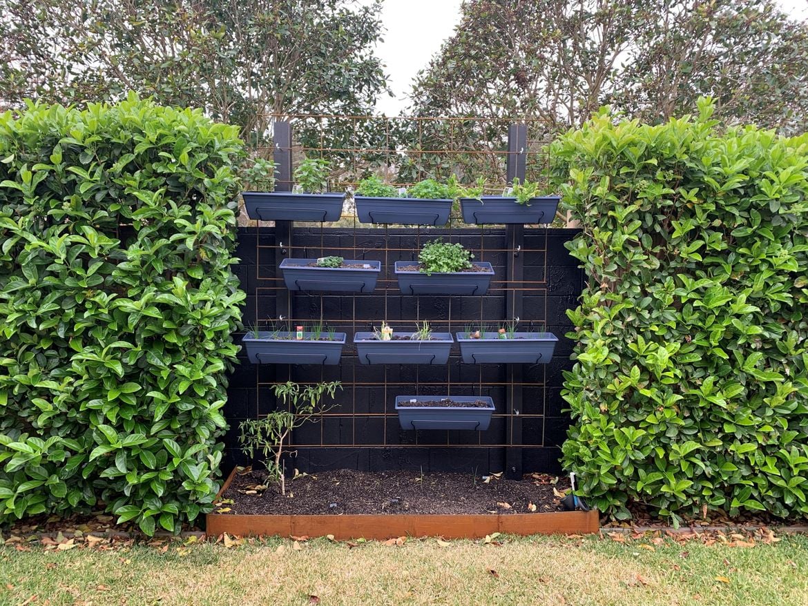 Herb Wall 4.jpg Herb Wall 4.jpg