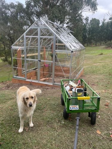 E7219252-4588-424D-9538-AEC3DA7F3494.jpeg E7219252-4588-424D-9538-AEC3DA7F3494.jpeg