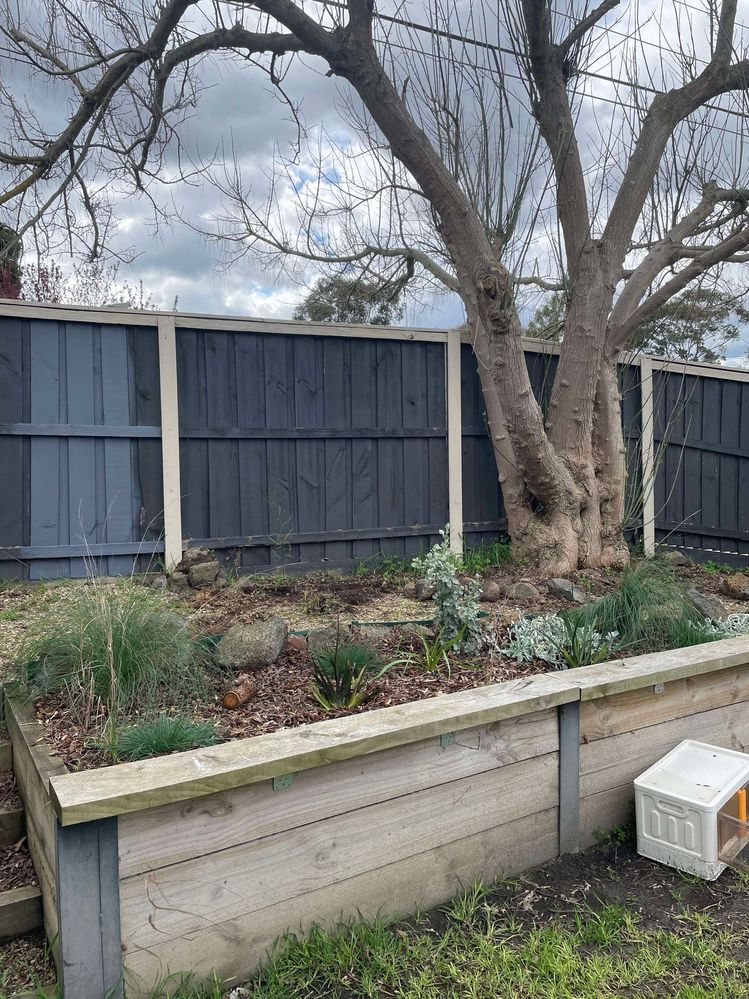 455821755_451322961214383_1712830882991659039_n.jpg 455821755_451322961214383_1712830882991659039_n.jpg