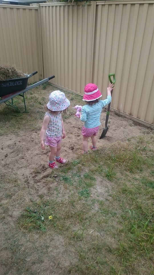 grassremoval1.jpg grassremoval1.jpg