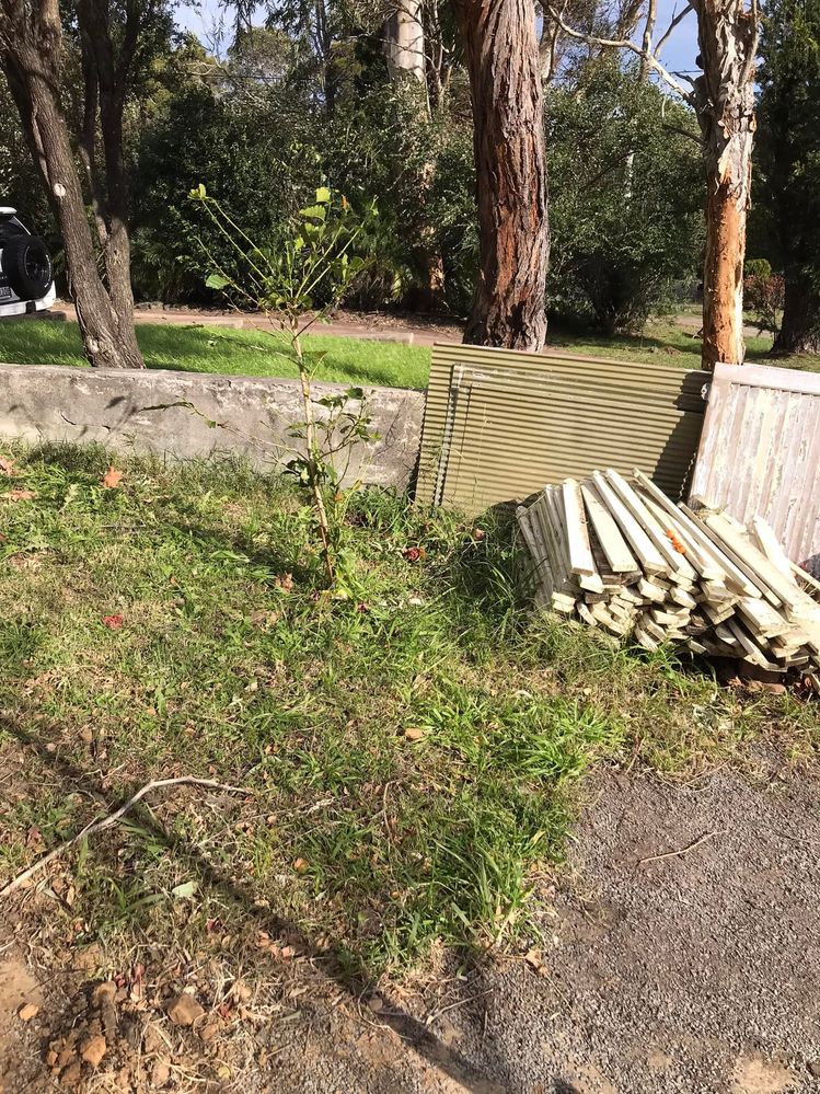 01 11-06-2022.jpg 01 11-06-2022.jpg