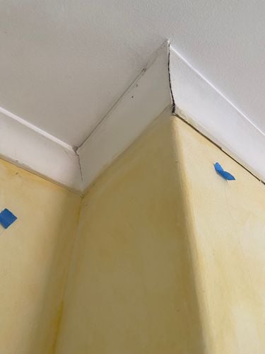 IMG_9357.jpeg IMG_9357.jpeg