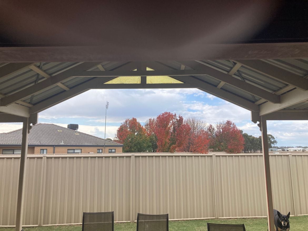 IMG_1795.jpg IMG_1795.jpg