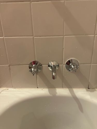 IMG_3994.jpeg IMG_3994.jpeg