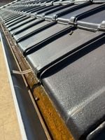 S__4284426.jpg S__4284426.jpg