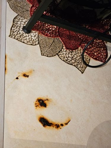 20240426_121029.jpg 20240426_121029.jpg