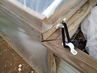 20200502_170500.jpg 20200502_170500.jpg