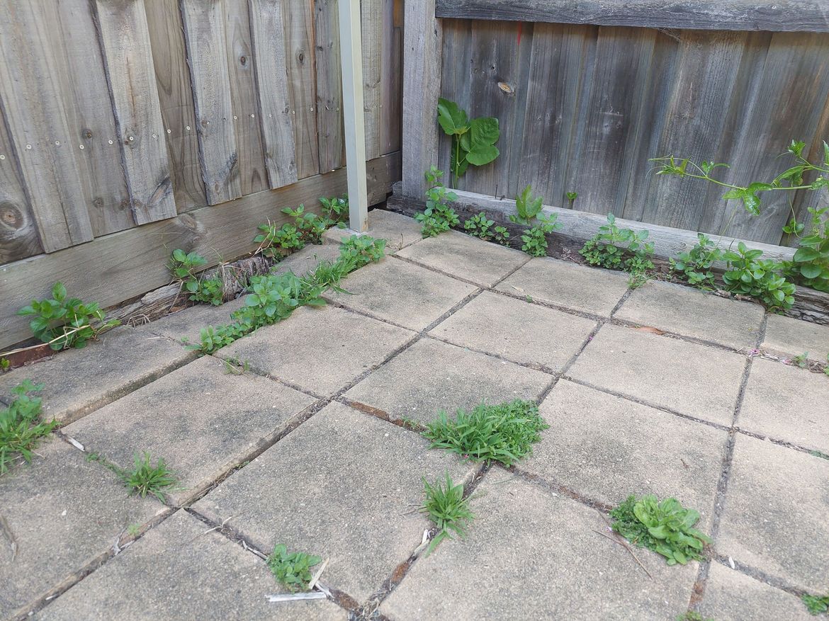 20241021_102517.jpg 20241021_102517.jpg