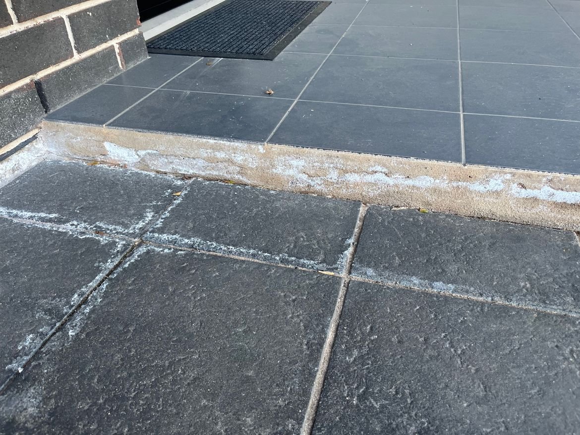 IMG_2242.jpeg IMG_2242.jpeg