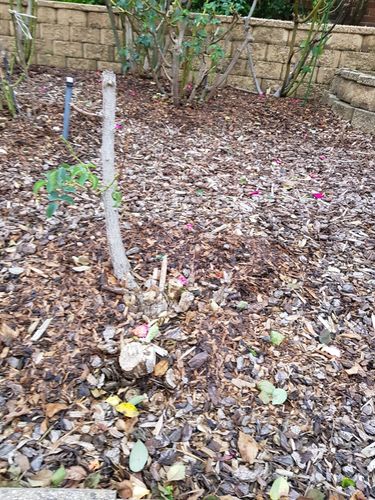 20220501_165833.jpg 20220501_165833.jpg