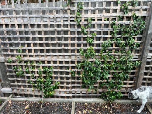 IMG_5888.jpeg IMG_5888.jpeg