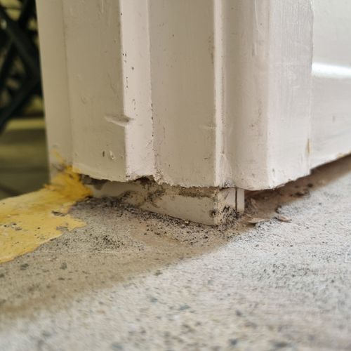 1000030202.jpg 1000030202.jpg