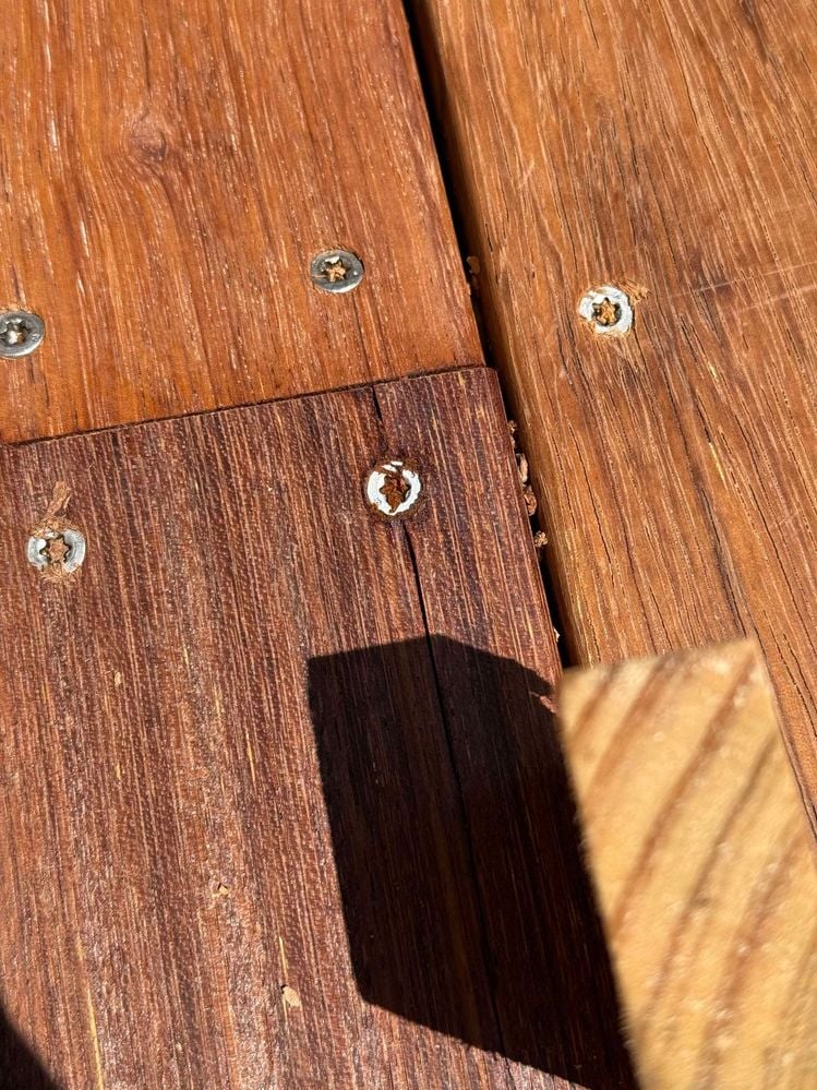 467472754_448313111640574_5672820655250264018_n.jpg 467472754_448313111640574_5672820655250264018_n.jpg