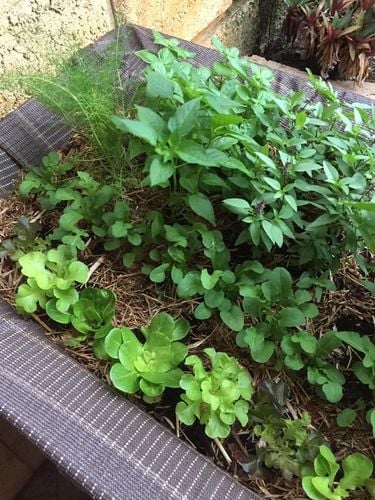 ED2EE61E-29F5-4BA9-BDCD-FF4C8E74DF32.jpeg ED2EE61E-29F5-4BA9-BDCD-FF4C8E74DF32.jpeg