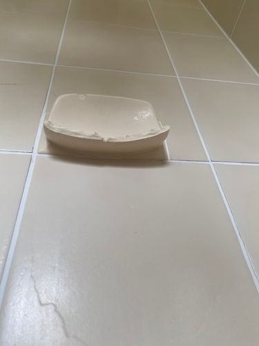 IMG_2396.jpeg IMG_2396.jpeg