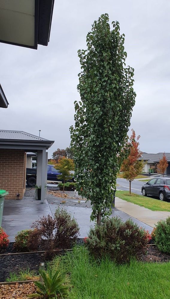 WhatsApp Image 2021-06-09 at 12.39.54 PM (2).jpeg WhatsApp Image 2021-06-09 at 12.39.54 PM (2).jpeg