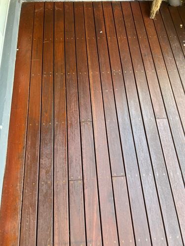 IMG_5613.jpeg IMG_5613.jpeg