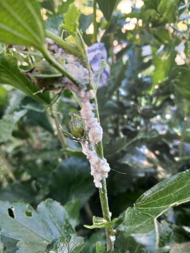 1000002278.jpg 1000002278.jpg