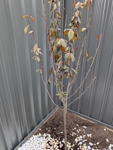 1000033900.jpg 1000033900.jpg