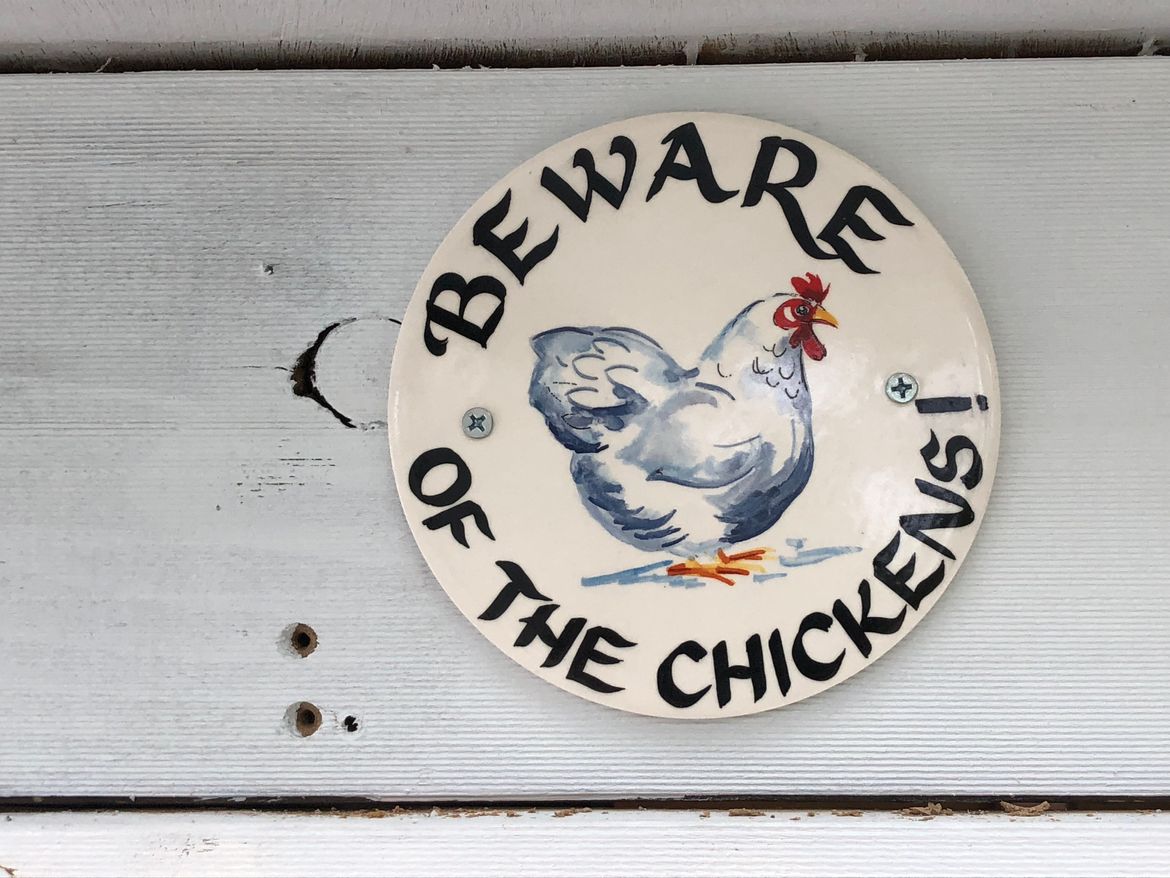 1766B02C-B3F3-46F7-8CE6-31042D864000.jpeg 1766B02C-B3F3-46F7-8CE6-31042D864000.jpeg