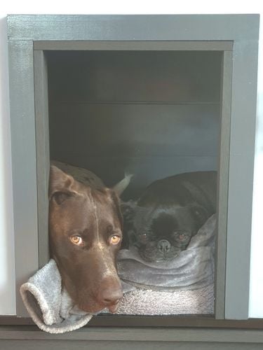 20220709_135147.jpg 20220709_135147.jpg