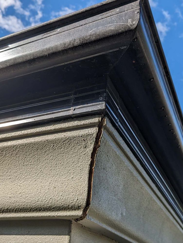 WechatIMG54.jpg WechatIMG54.jpg