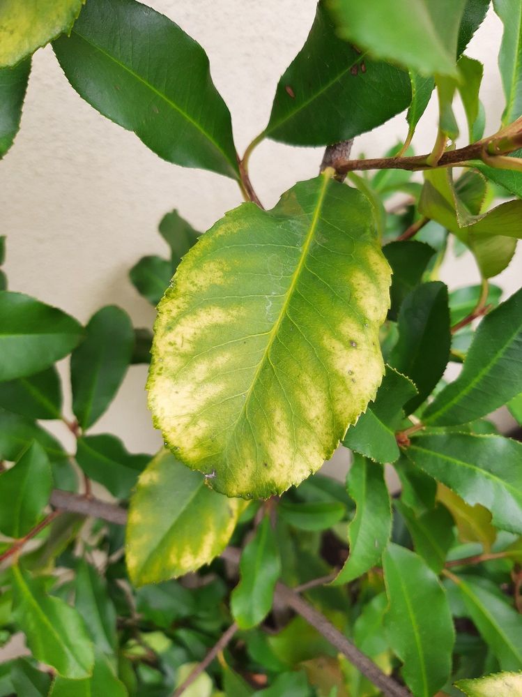 20220101_132014.jpg 20220101_132014.jpg