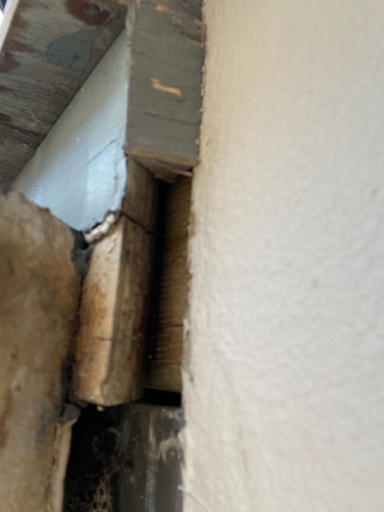 IMG_0528.jpeg IMG_0528.jpeg