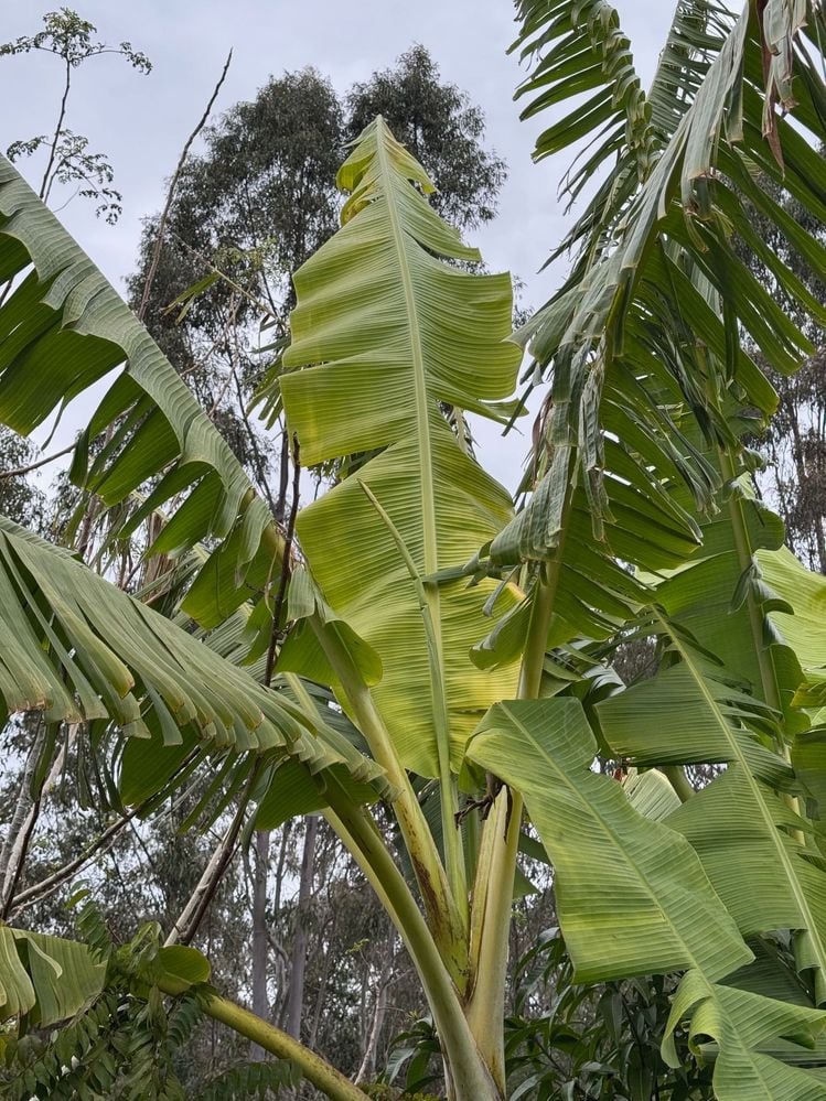 image3.jpeg image3.jpeg