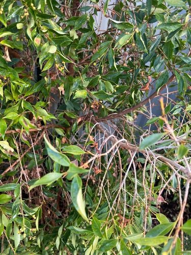 IMG_3692.jpeg IMG_3692.jpeg