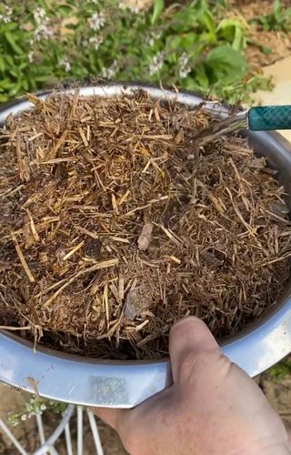 4B2CEA94-4FD6-4536-8A48-BA11A52D1423.jpeg 4B2CEA94-4FD6-4536-8A48-BA11A52D1423.jpeg