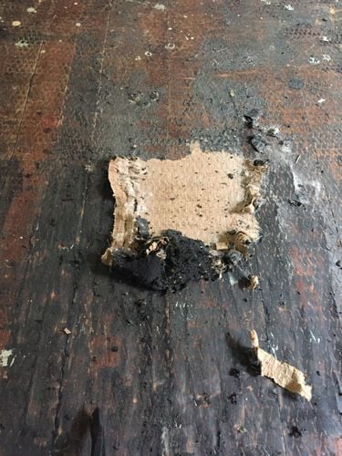 IMG_1508.JPG IMG_1508.JPG