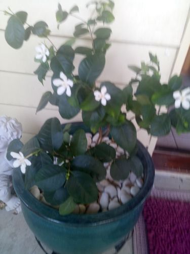 IMG20191215121440.jpg IMG20191215121440.jpg